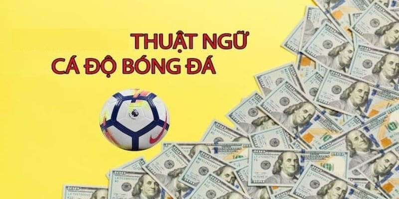 Thuật ngữ cá độ bóng đá là gì?